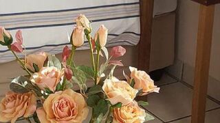 Harmony on Protea | Accommodation West Acres