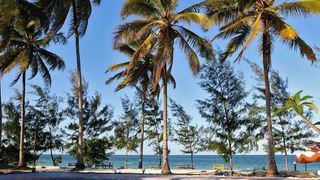 Mermaids Cove Beach Resort & Spa | Uroa Accommodation