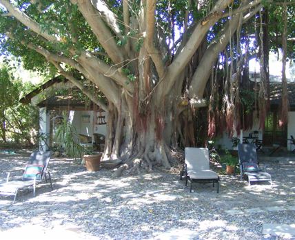 Saint du Barrys Guest House