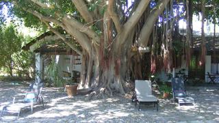 Saint du Barrys Guest House | Accommodation Clanwilliam