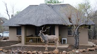 Maranze@Marloth | Self-catering Marloth Park