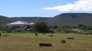 The Dairy BnB & Adventures | Noupoort Accommodation