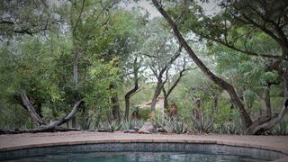 Chama Game Lodge | Malelane Accommodation