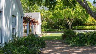 Alphen Vines | Alphen Self-catering