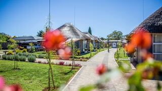 TshiBerry Bed & Breakfast | Bojanala Region Specials