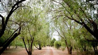 Little Swift Chalets | Hartbeespoort Dam Accommodation