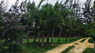 104 Burnside | Accommodation Nelspruit