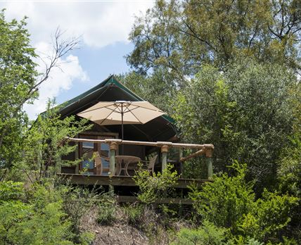 B'sorah Luxury Tented Camp