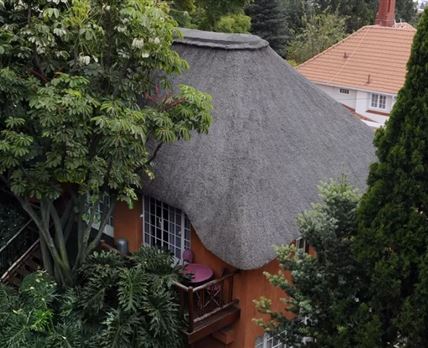 Tree Tops and Treats Guest House
