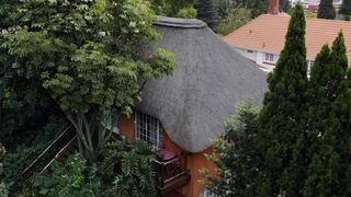 Tree Tops and Treats Guest House | Pretoria (Tshwane) Specials