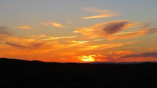 ROAM Private Game Reserve | Beaufort West Accommodation