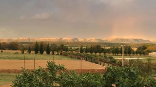 Sanctuary Life Guest Farm | Self-catering Syferbult