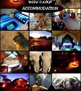 Thorn Tree Bush Camp | Accommodation Dinokeng Game Reserve