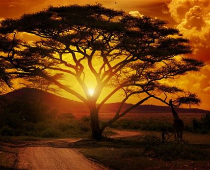 Special Interest Tour: Art Safaris in Southern Africa