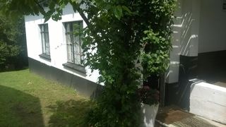 Panda | Mbabane Hotels