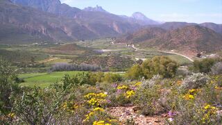 BeeCatcher Guest Farm | Ladismith Accommodation