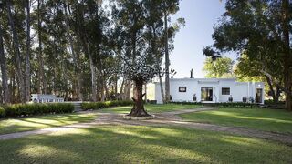 Rest @ Chabivin Vineyard Studio | Accommodation Paradyskloof