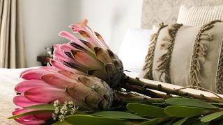 The Urban Self Catering Villa | Mossel Bay Specials