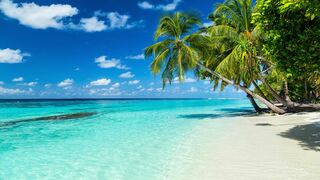 Equa Reef Maldives | Asia Specials