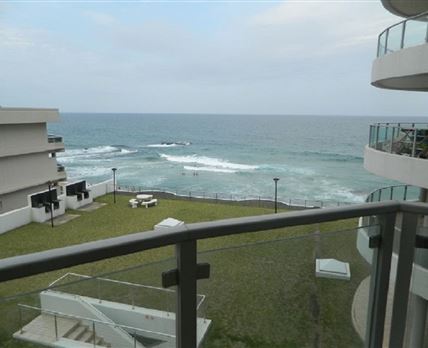 Bermuda 302