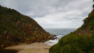 Ballots Tree House | Ballots Bay Accommodation