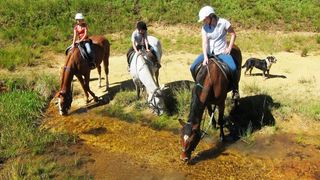 2 Night Stormy Hill Midlands Horse Trail Holiday | Accommodation Boston Park