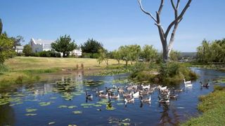 A Pinot Noir Cottage | Accommodation Stanford
