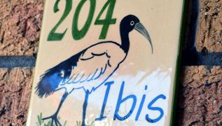 South Shore Beach Apartments Ibis 204 | Self-catering Fish Hoek