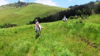 Stormy Hill 2 Day Introduction to Horses and Horse Riding in the Midlands, KZN | Accommodation Boston Park