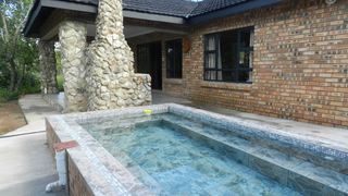 Lion King | Accommodation Marloth Park