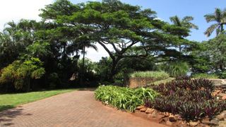 Mike's Affordable Accommodation | Accommodation Mtunzini