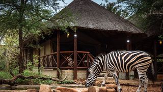 Maerua Luxury Safari Tents | Accommodation Marloth Park