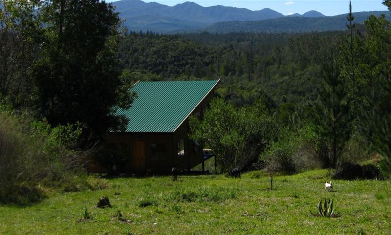 Hidden Valley Forest Cottage