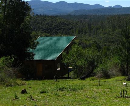 Hidden Valley Forest Cottage