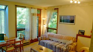 Snowater Condo #91 | Lodges Glacier