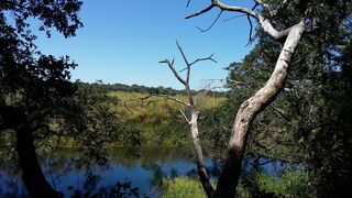 Askiesbos | Accommodation Shakawe