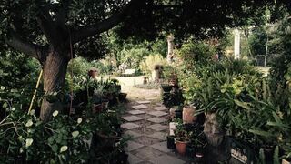 Helderbos Country House | Accommodation Helena Heights