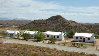 The Cat and Cow Guest Farm | Accommodation Van Wyksdorp