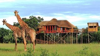 Pezulu Tree House Game Lodge | Africa Specials