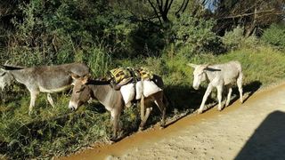 Sani Pass Tours | Himeville Accommodation