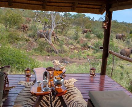 Ximongwe Safari Camp