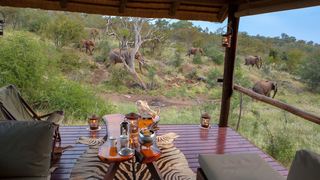 Ximongwe Safari Camp | Balule Nature Reserve Accommodation