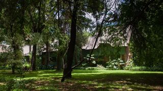 BirdwoodHaven | Accommodation Boskop Dam Nature Reserve