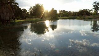 Nicama Lodge | Mabalingwe Nature Reserve Lodges