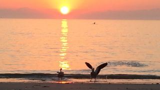 Gold Water | Accommodation Gordons Bay