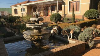 Clarens Butterfly Villa | Clarens Self-catering