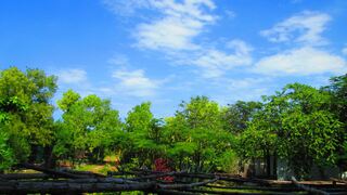 Zeru Zeru | Accommodation Michamvi