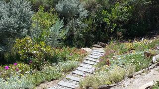 Dolphin View Holiday Apartments | Herolds Bay Self-catering