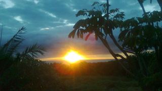 Holiday accommodation Hibberdene | Wood Grange Self-catering