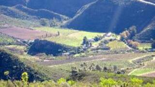 Dew Cottage | Self-catering Montagu